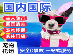 岳阳三荷机场货运国际宠物托运 【国